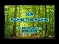 Гра "Можна - не можна". Як поводитися в природі? Бережливе ставлення до природи