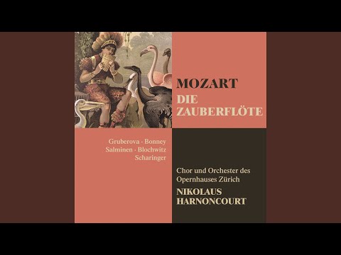 Die Zauberflöte : Act 1 "Hm! hm! hm!" [Three Ladies, Tamino, Papageno]