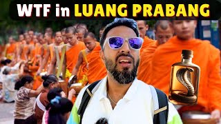 The Buddhist MONK Business of Luang Prabang | Laos Travel VLog 3
