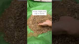 마사토 이렇게 쓰면 식물 다 죽어요