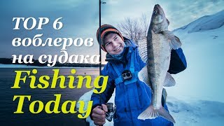 ТОП-6 воблеров на судака. Капризная щука. Бритье перед рыбалкой - Fishing Today