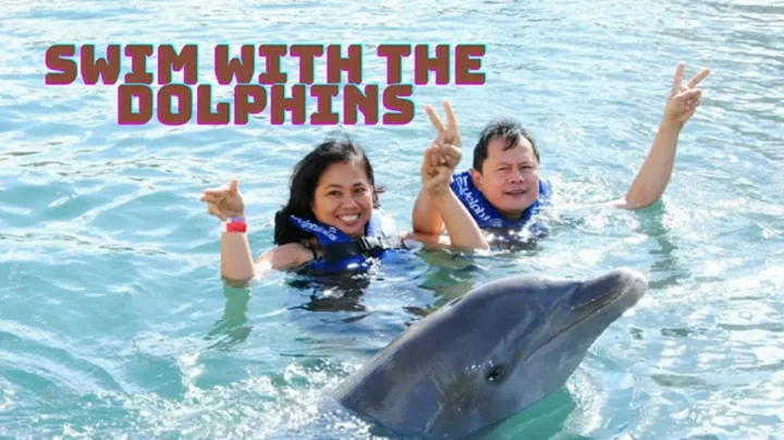 How to Swim with the Dolphin and Its Tricks/Arlene...