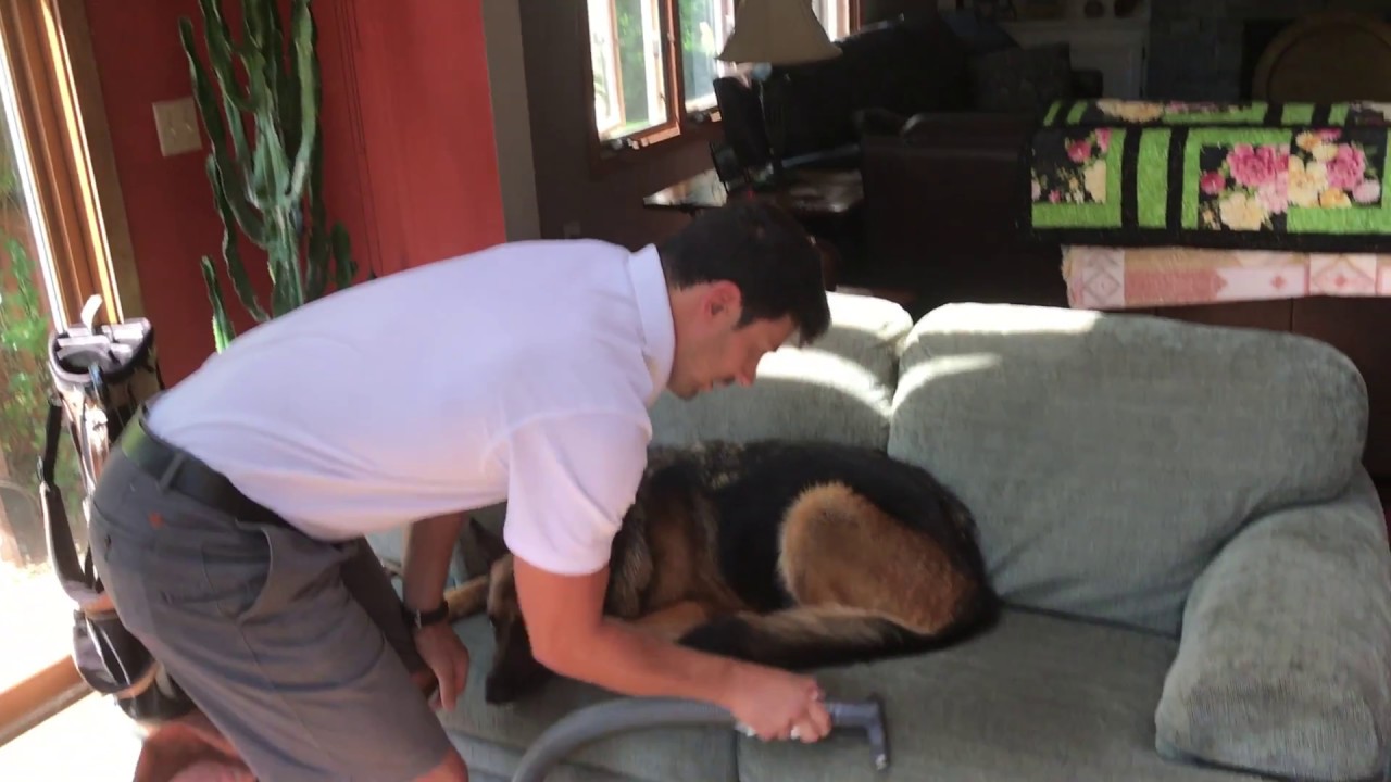 Carpet Cleaning Worcester, MA Upholstery Cleaning Dust Testing in