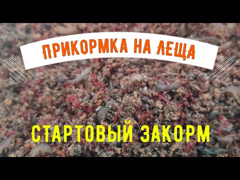 Зимняя рыбалка. Прикормка