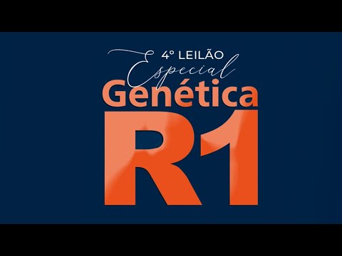 LOTE 04
