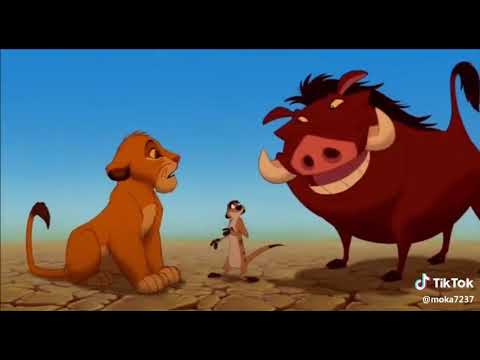 اكونا بطاطا