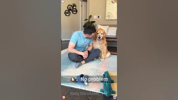 Video 8361881: cat pets funnycats dog, pet animal funnycat cats, funnycat cat pet cute, pet funnycats animals usa, funny cat usa pets