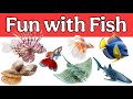 15 Amazing Fish Names for Kids 🐠 | Fun Learning for Children | Reallife videos