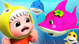 Baby Shark Doo Doo Doo | Baby Car, Morning Song +more | Bebefis Best Kids Songs and Nursery Rhymes