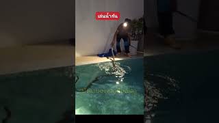 Python in pool #snake #reticulatedpython #pythonsnake