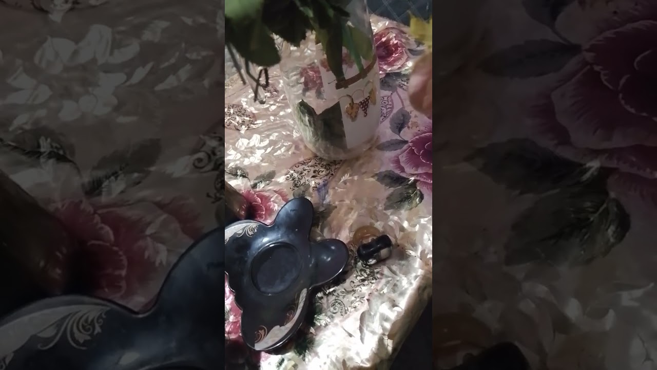 ١٢ فبراير ٢٠٢٦