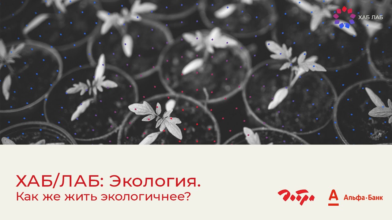 хаба хаба реклама айрн брю. хаба лаба. река лаба адыгея. красный зеленчук. солнце встало хаба хаба.