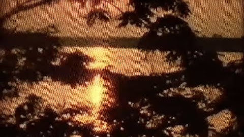 Root Mean Square - Meet Me at the Lake (Lyrics Video)