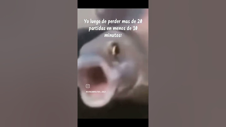memes después de 2 meses, y 1 año sin subir memes #memes #fish #audio
