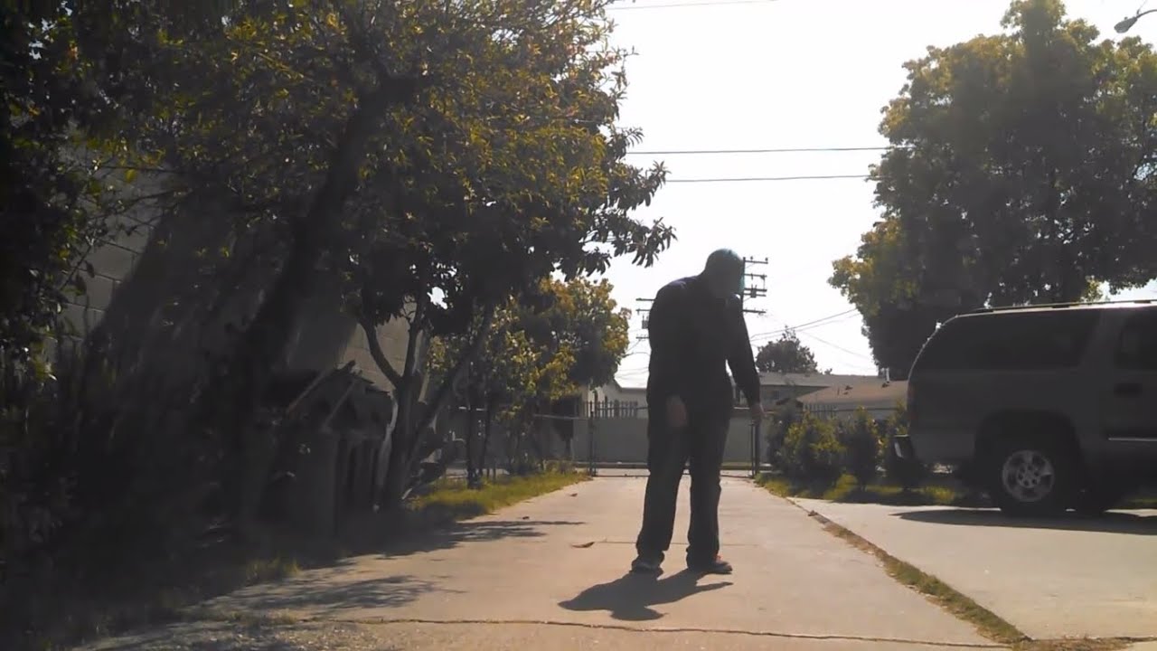 The Fruits of Nature