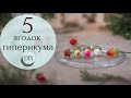 5 ягодок гиперикума из полимерной глины