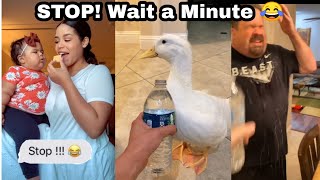Stop! Wait a minute TikTok meme Compilation #stopchallenge #stopwaitaminute #tiktok