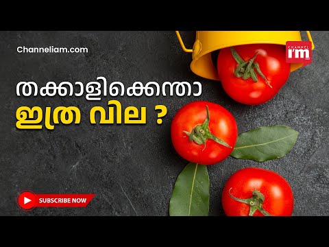 തക്കാളിക്ക് ചുമ്മാതങ്ങ് വില കയറിയതല്ല, കാരണമുണ്ട് | TOMATO PRICE HIKE