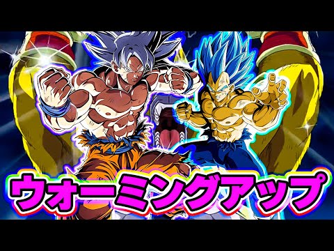 6周年コンビがウォーミングアップをはじめました【ドッカンバトル】