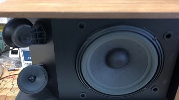 Vintage Bose 301 Series iii Speaker Test (1)