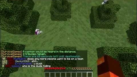 MCSG Hacker Geminiblader