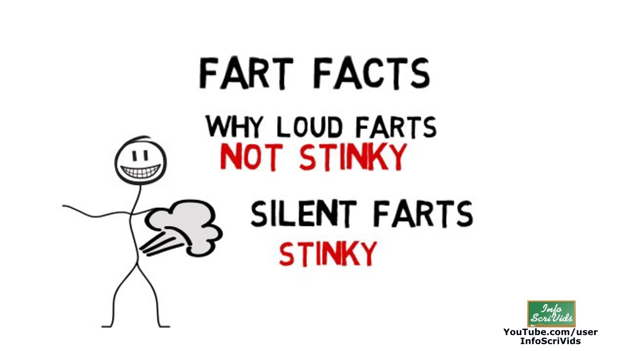 Fart Facts Why Silent Farts  Are Stinky And Loud Farts Are Usually Non Smelly