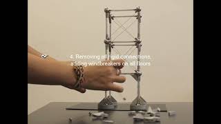 Mola Structural Model; Testing Structural Behavior Through Iteration