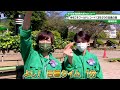 猫のひたいほどワイド #1136 リポート大賞・岡田翔大郎「今年こそワールドレコード!3年ぶりの白鳥の湖」(相模原市緑区)