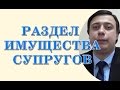 раздел имущества супругов