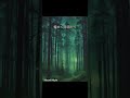 幻想的な夜の森の音楽|穏やかで爽やかな癒しのBGM