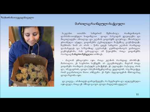 პროექტი _ ჩემი სკოლა - ჩემი თავგადასავალი _  VI ვ კლასი _ აიბი მთიები