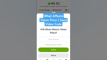 What Affects Token Price | Seed Video Code