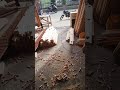 Carpenter #viral #comedy #shortvideo #carpenter #comedy #shortvideo #nonfollower #kashmiri