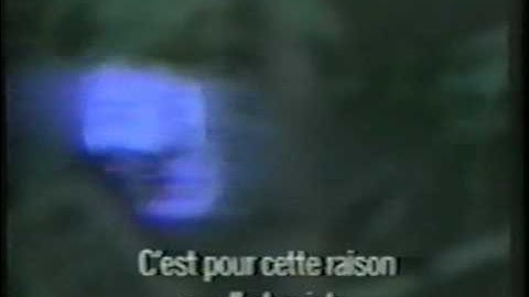 David Sylvian - Interview On French TV