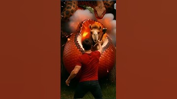 rescue camel from giant python #animals #funny #shorts