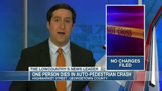VIDEO: 1 killed in in Georgetown Co. auto-pedestrian collision
