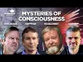Mysteries of Consciousness: Bernardo Kastrup, Iain McGilchrist, Donald Hoffman, and Rupert Sheldrake