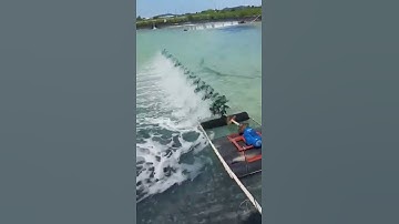 MOTOR GIẢM TỐC CHO QUẠT TÔM #quattom, #nuoitom, #thuysan, #motorgiamtoc