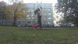 Dogfrisbee - October 2017