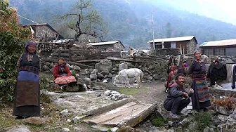 Life in the Highest Mountain Villages of Nepal | Manaslu Region Documentary