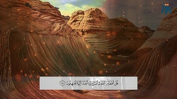قُلْ أَفَغَيْرَ اللَّهِ تَأْمُرُونِّي أَعْبُدُ أَيُّهَا الْجَاهِلُونَ  :  القارئ اسلام صبحي
