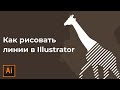 Как нарисовать линии в иллюстраторе | Создание фигур | Линейная графика Adobe Illustrator