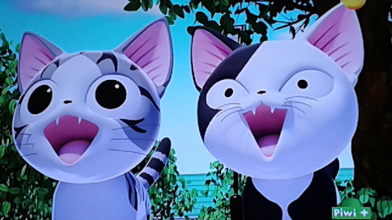 Chi mon chaton épisode 47 une journée avec chi YouTube Chi mon chaton épisode 47 une journée avec chi YouTube