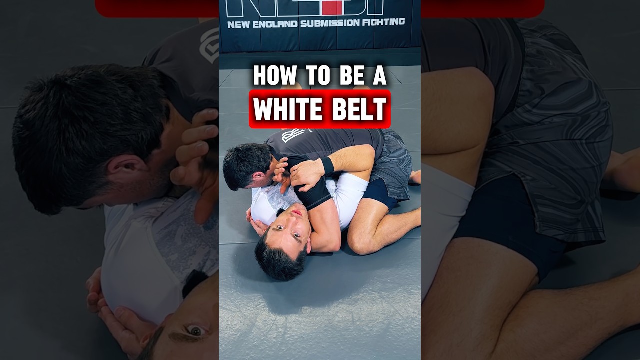 Как стать хорошим обладателем белого пояса