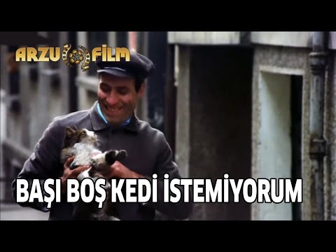 Çöpçüler Kralı - Başı Boş Kedi İstemiyorum