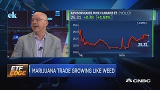 There s a hot new ETF that could help you play the cannabis space
