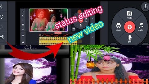Multiple Color Effect WhatsApp Status Video Editing in KineMaster App