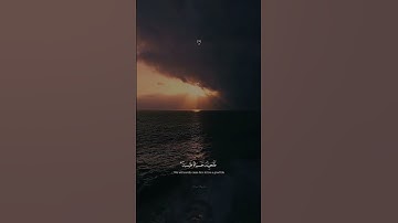 اكتب شيء تؤجر عليه 🤍  .. #اكسبلور #تلاوات #تلاوة #قرآن #راحة_نفسية #تلاوة_عطرة