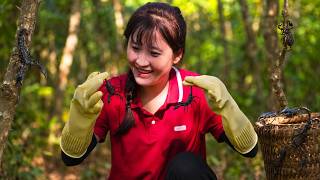 TIMELAPSE | Catching Safe Scorpions in Rotten Tree Roots to Sell at the Market