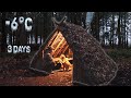 3 Days FREEZING COLD Bushcraft Woodland Camping With My Dog | Survival Shelter | Fire | Deer Hide